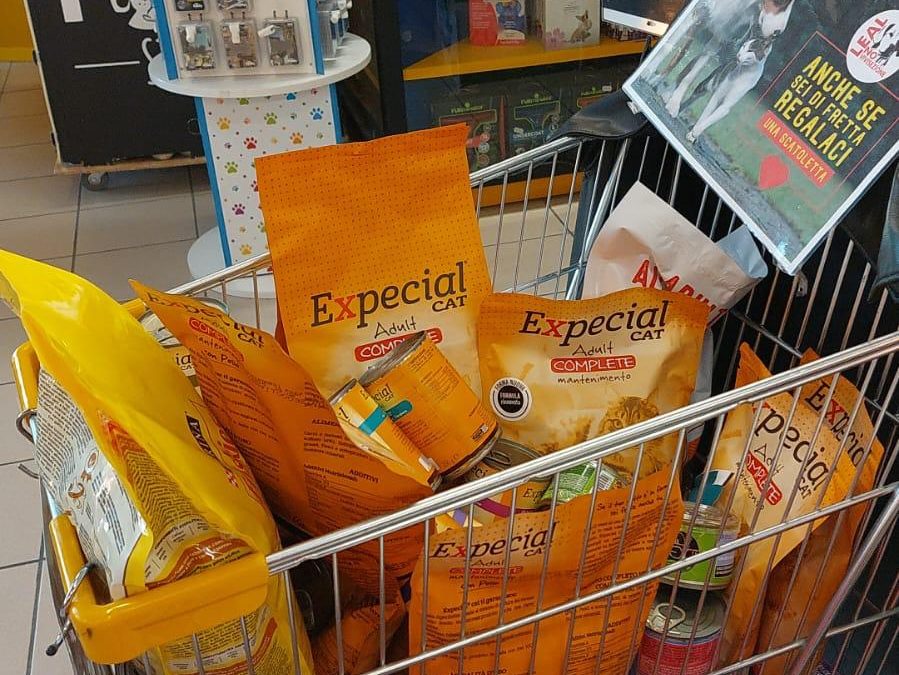 LEAL: PROSEGUE L’OPERAZIONE CIOTOLE PIENE! DOPO LE RACCOLTE ALIMENTARI IN QUESTI GIORNI SI CONSEGNANO LE PAPPE A CHI NE HA BISOGNO