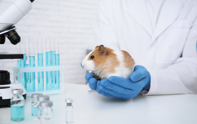 USA:  NON SARÀ PIÙ OBBLIGATORIO TESTARE I FARMACI SUGLI ANIMALI SOSTITUITI DALL’NTELLIGENZA ARTIFICIALE