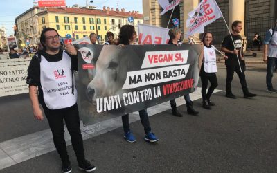 LEAL: “PROPOSTA DI LEGGE SUL MALTRATTAMENTO ANIMALI: METTIAMO UN FRENO ALLA LEGA!”