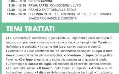 CONOSCERE IL LUPO E LE DINAMICHE DI POTERE NEL BRANCO