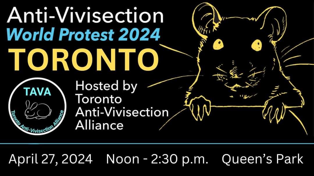 MILANO 27 APRILE 2024 WORLD PROTEST PER LA GIORNATA DEGLI ANIMALI DA LABORATORIO: LEAL VI ASPETTA IN PIAZZA SAN CARLO PER I FLASH MOB!