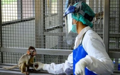 RITIRO DAL MERCATO DI ASTRAZENECA DATO PER SICURO. ERA STATO TESTATO SUGLI ANIMALI