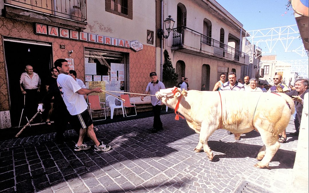 LETTERA APERTA LEAL AL SINDACO DI ROCCAVALDINA MESSINA  PER FERMARE LA CRUDELE SFILATA DI UN VITELLO IN OCCASIONE DELLA FESTA DEL CONVITO, “SIAMO PRONTI A DENUNCIARE”.