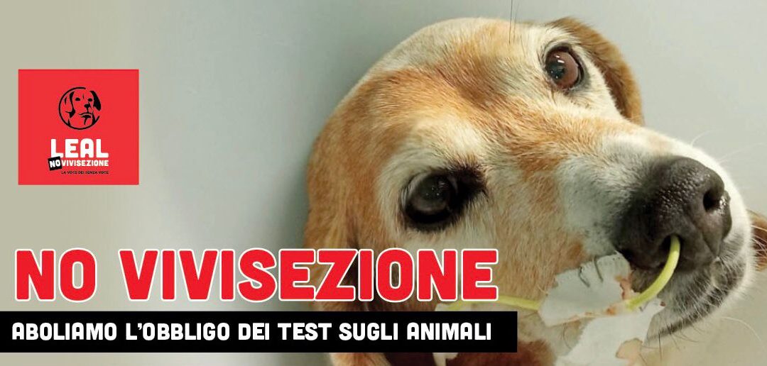 FIRMA LA PETIZIONE LEAL!  ANCHE IN ITALIA COME IN USA DICIAMO NO ALL’OBBLIGO DEI TEST SUGLI ANIMALI!