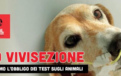 FIRMA LA PETIZIONE LEAL!  ANCHE IN ITALIA COME IN USA DICIAMO NO ALL’OBBLIGO DEI TEST SUGLI ANIMALI!