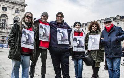 LEAL IN PIAZZA A TORINO CONTRO L’ABBATTIMENTO DI 800.000 PICCIONI