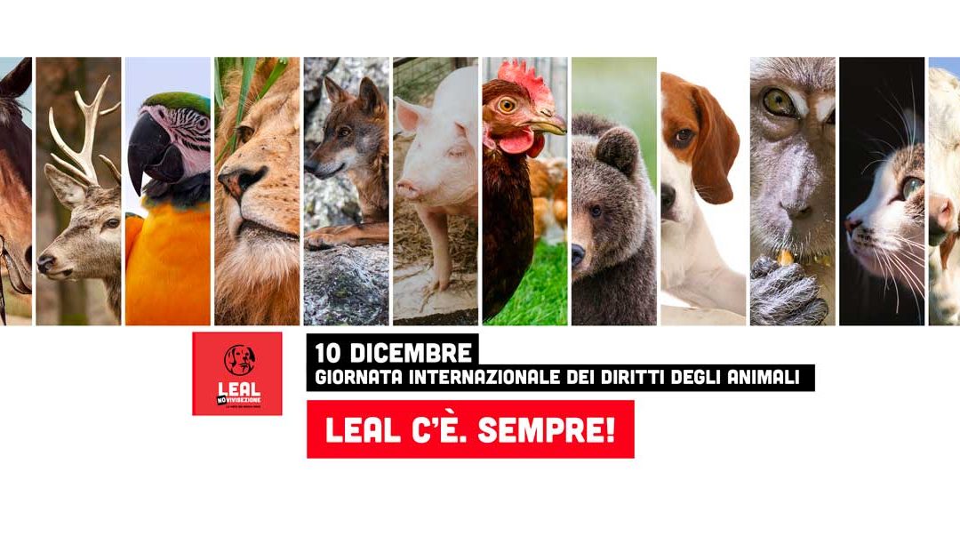 LEAL CELEBRA IL 10 DICEMBRE GIORNATA INTERNAZIONALE DEI DIRITTI DEGLI ANIMALI