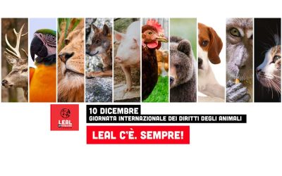 LEAL CELEBRA IL 10 DICEMBRE GIORNATA INTERNAZIONALE DEI DIRITTI DEGLI ANIMALI