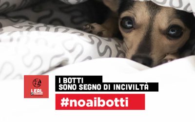 LEAL: LA VOCE DEGLI ANIMALI CONTRO I BOTTI DI CAPODANNO