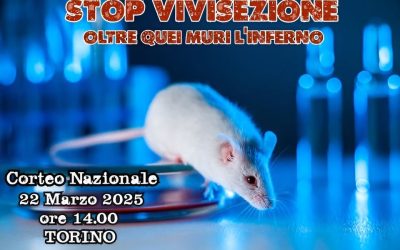 CORTEO NAZIONALE – STOP VIVISEZIONE: OLTRE QUEI MURI L’INFERNO 22 MARZO A TORINO