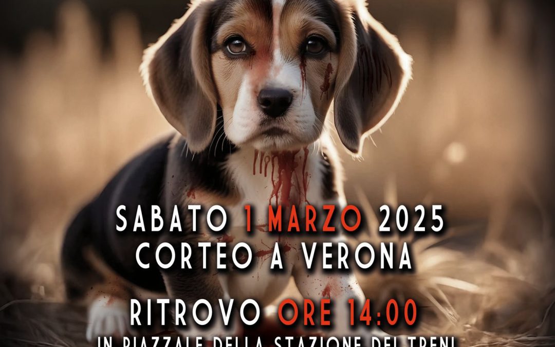 LEAL PRESENTE IL 1 MARZO A VERONA AL CORTEO PER I BEAGLE DI APTUIT